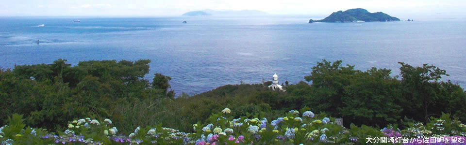 大分関崎灯台から佐田岬を望む（紫陽花）